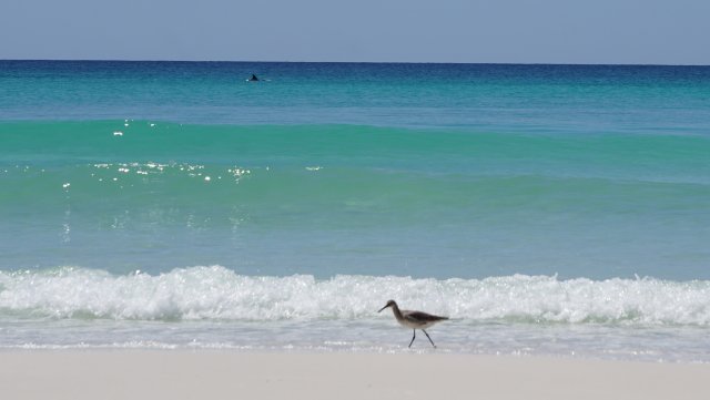 2 Condominium vacation rental located in Destin 1