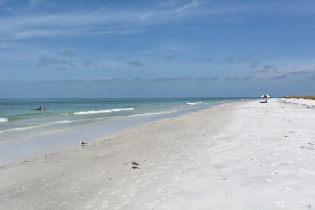 2 House vacation rental located in Anna Maria Island 1