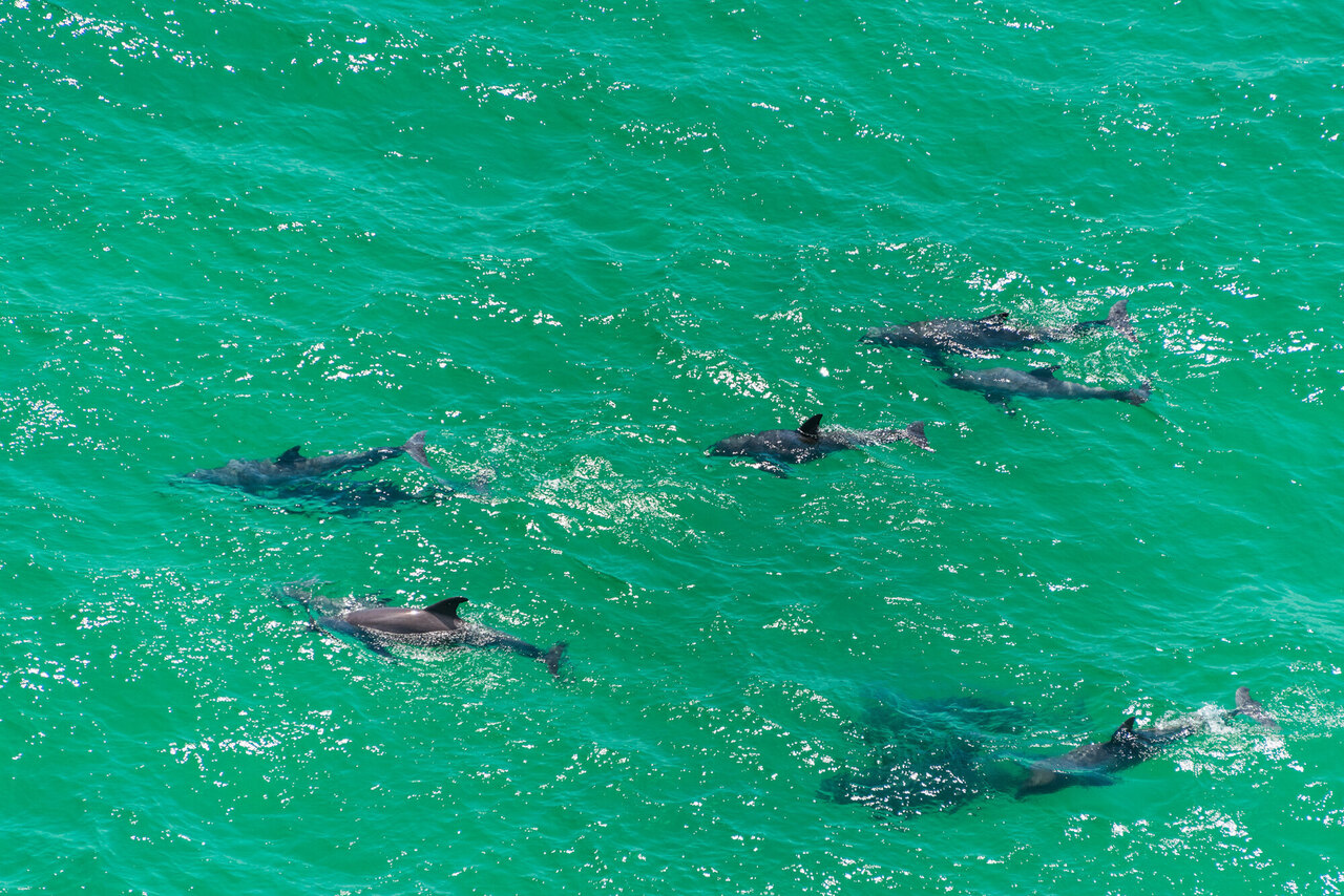 Calypso 1806W - Image 42