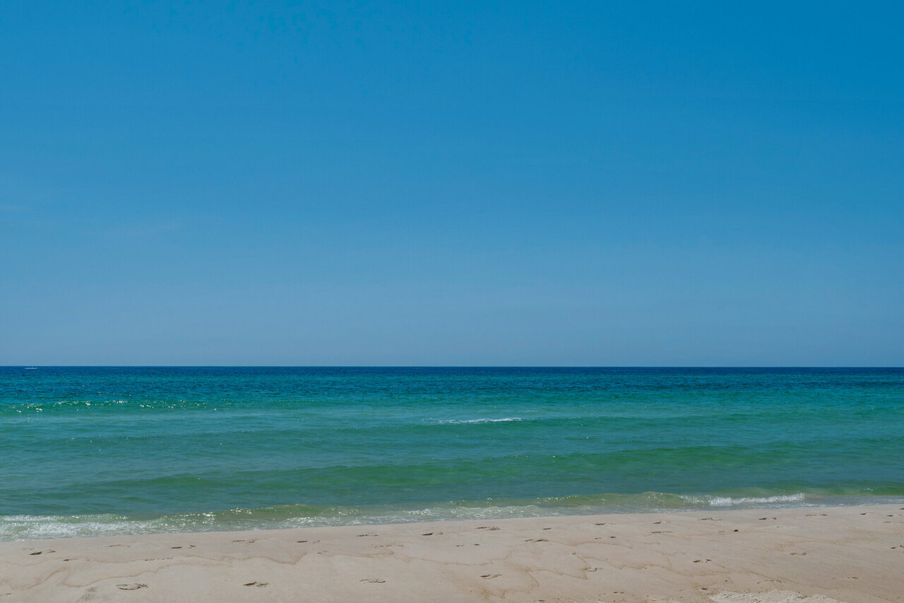 Calypso 303W - Image 44