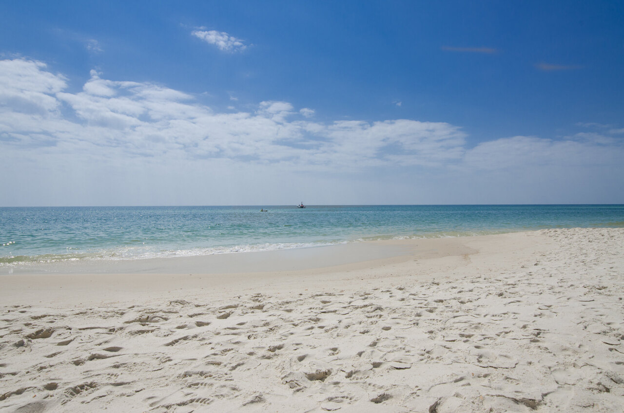 Mistral 18 - Image 48