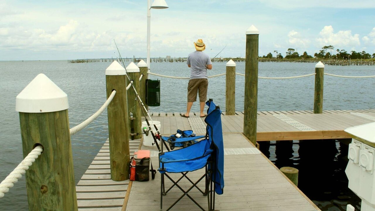 Destin West Heron 303 - Image 53