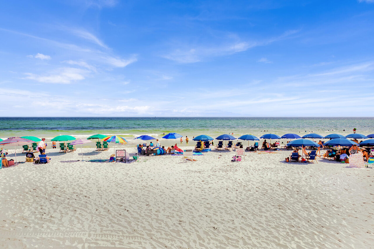 Destin West Heron PH-08 - Image 47