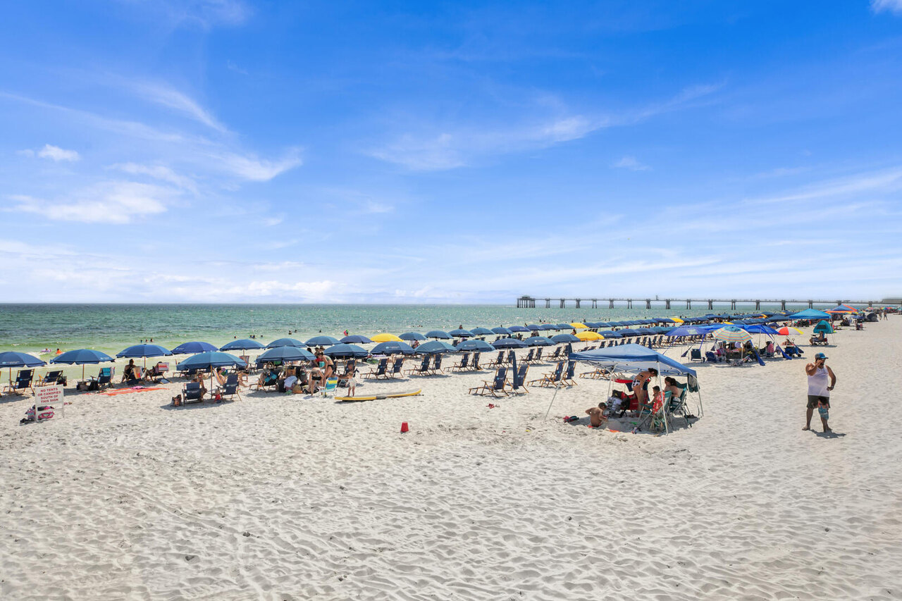 Destin West Heron PH-08 - Image 46