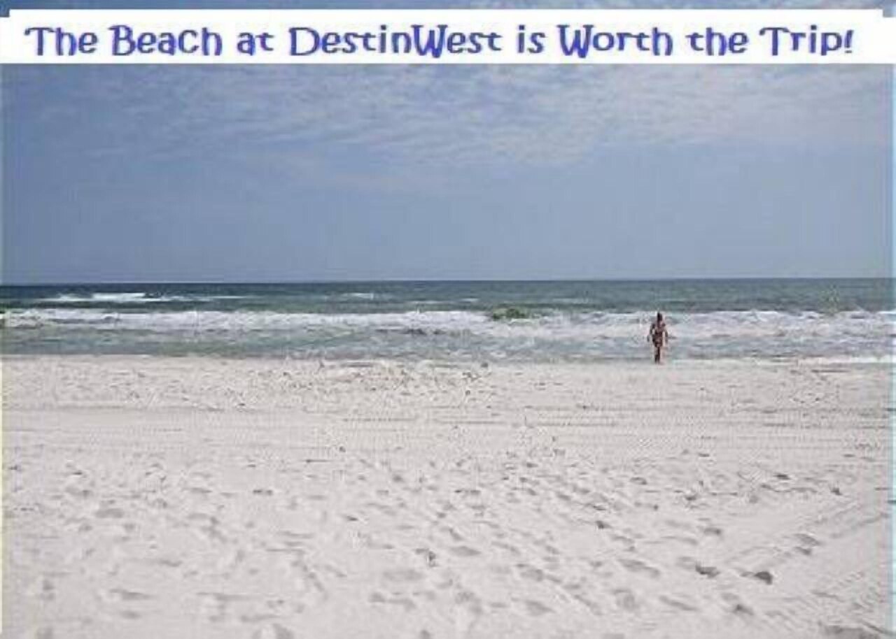 Destin West Heron 305 - Image 36