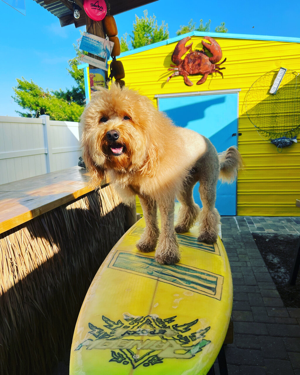 B3 - Bubble's Beach Bungalow - Image 3