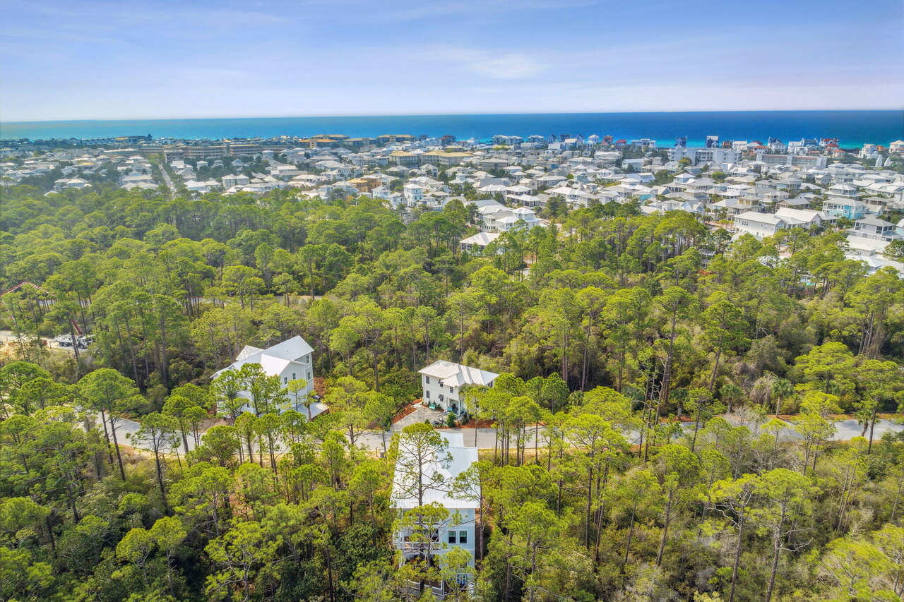 Red Bud Lane - Image 57