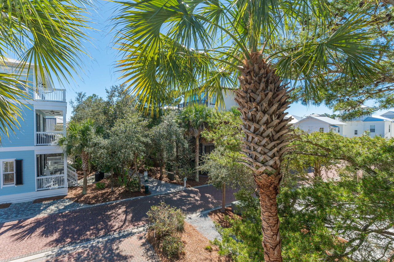 Seabreeze and Sunshine - Image 65