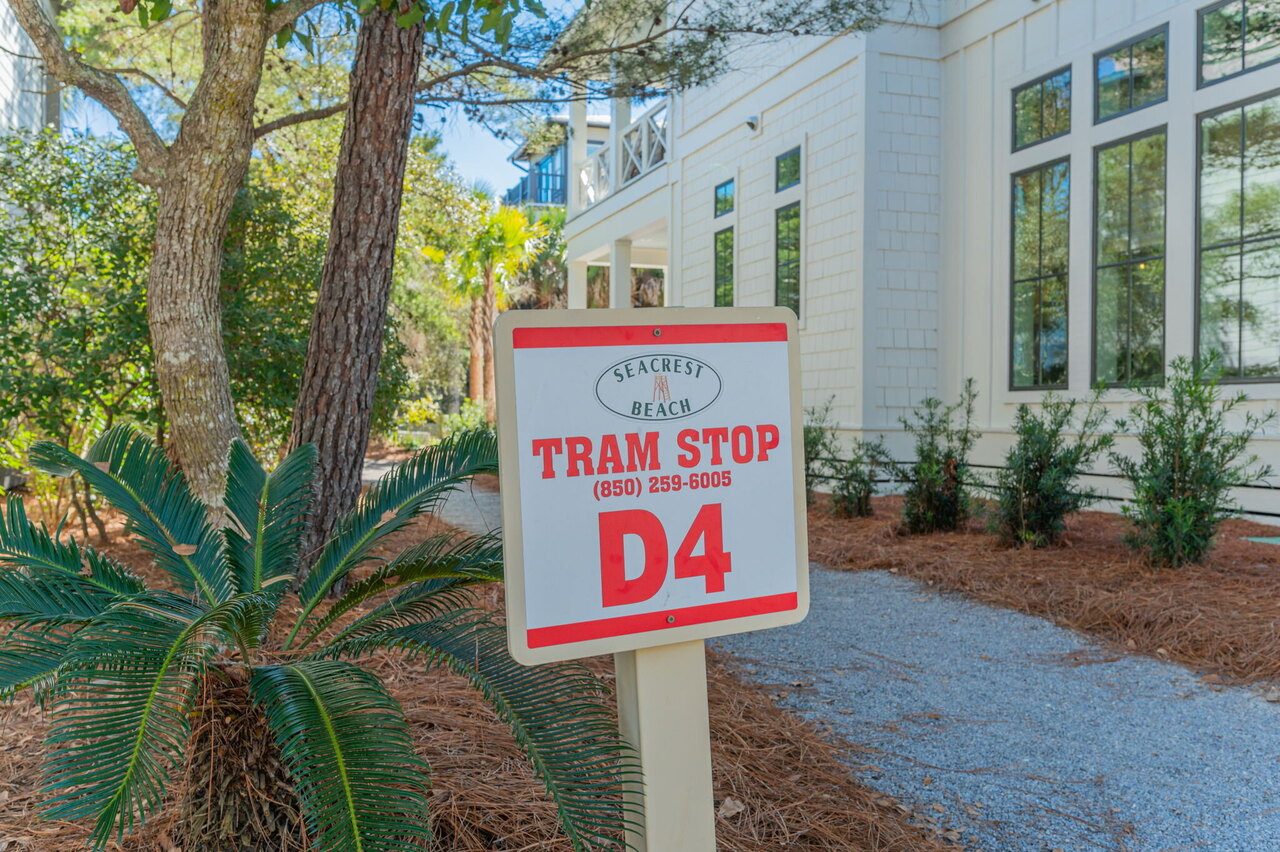 Seabreeze and Sunshine - Image 76