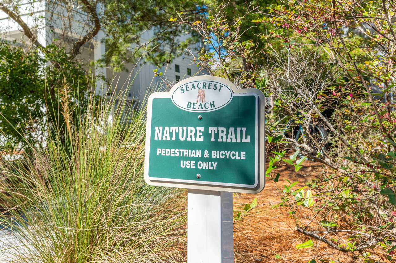 Seabreeze and Sunshine - Image 75