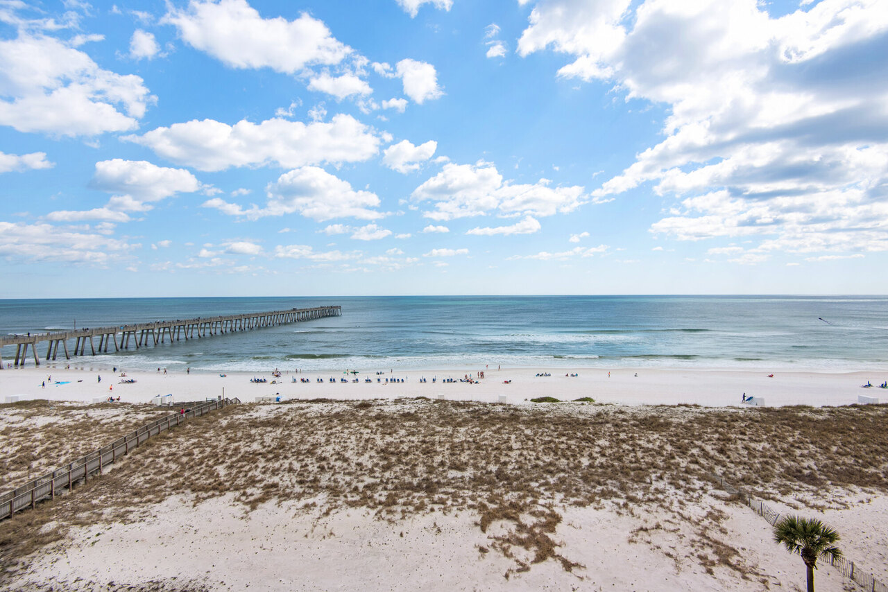 Summerwind 602W - Fish Bait - Image 50
