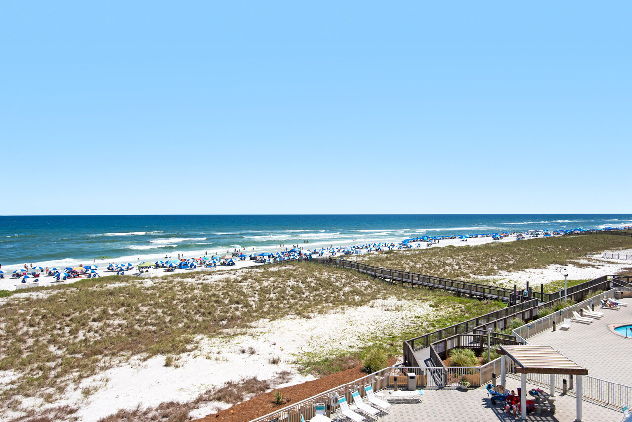 Summerwind 302E - Shell Bottom Blues - Image 30