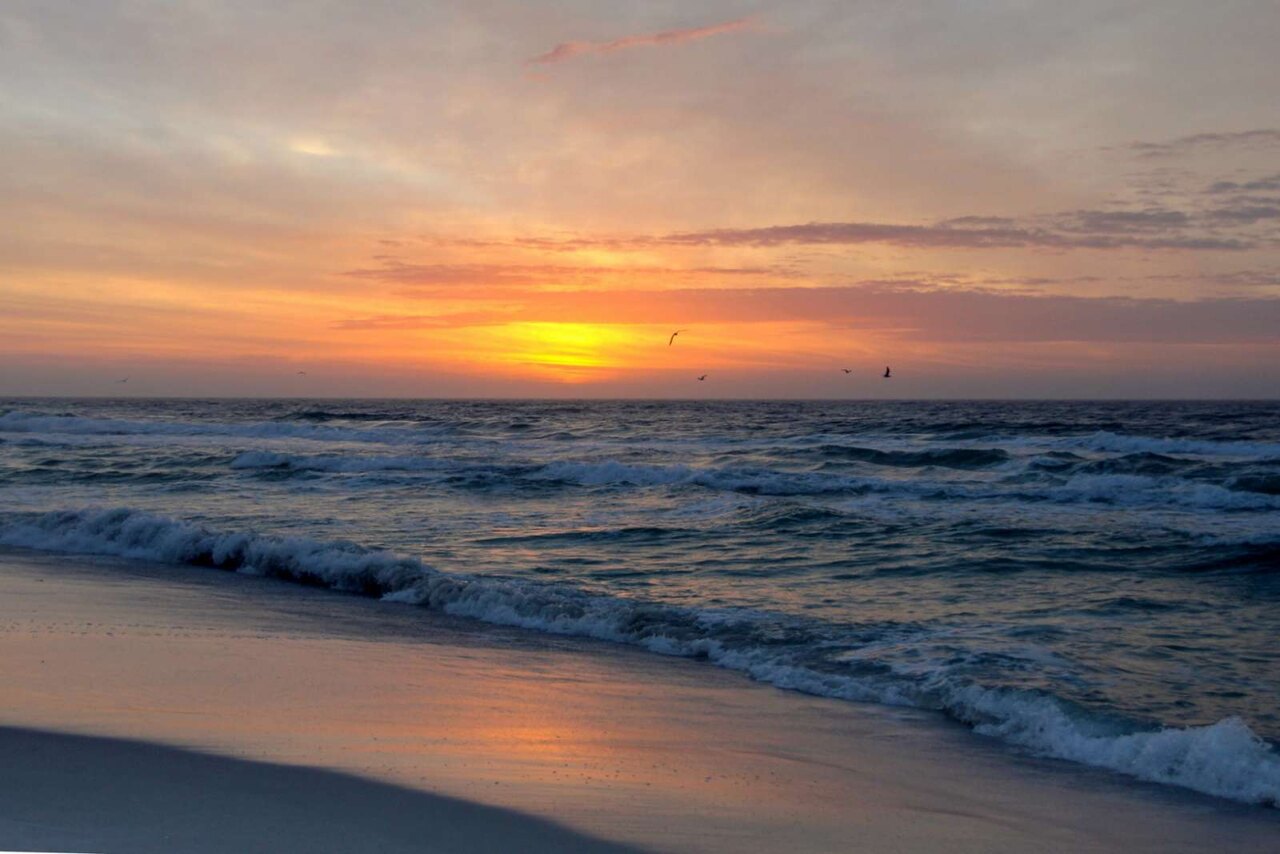 Majestic Beach 1-604 - Image 60