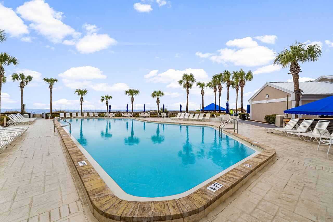 Dunes of Panama B407 - Image 25