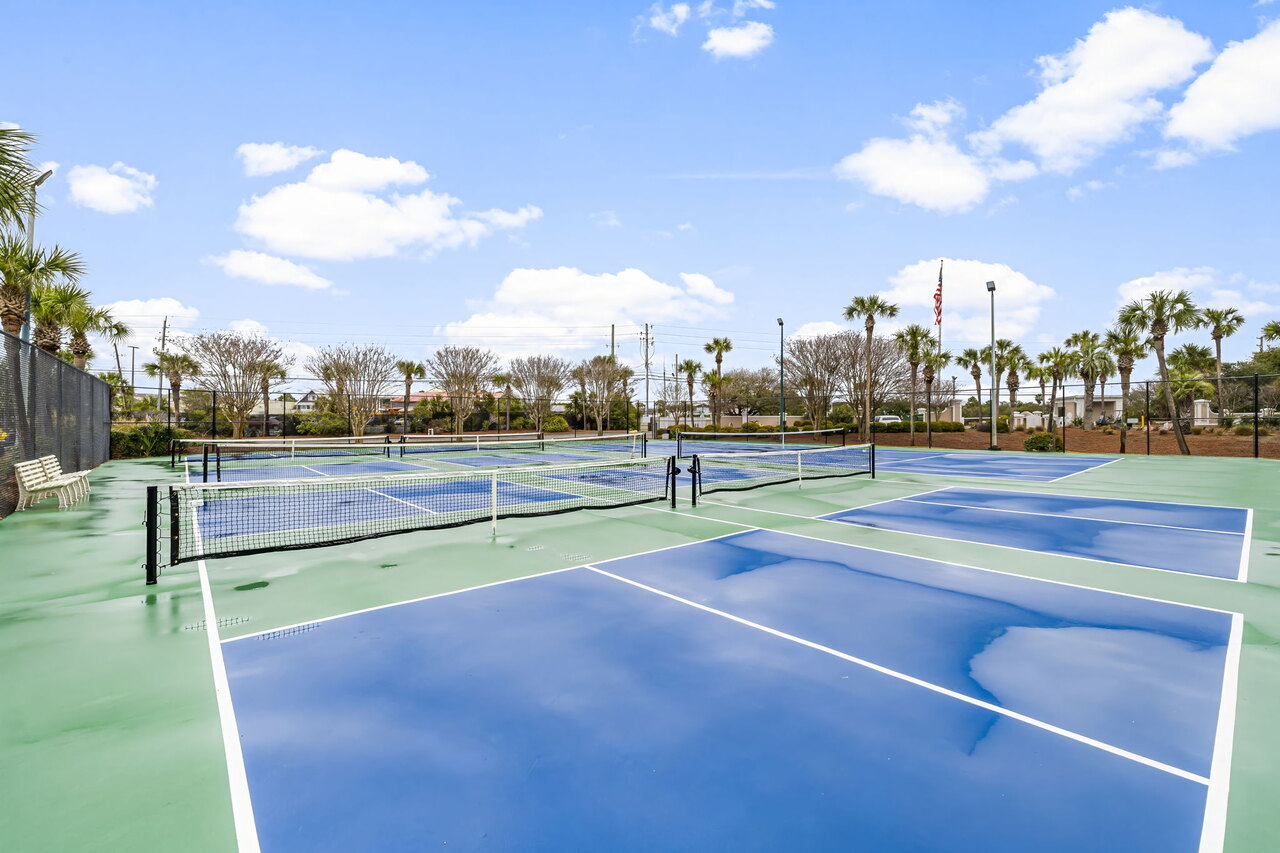 Dunes of Panama B407 - Image 30