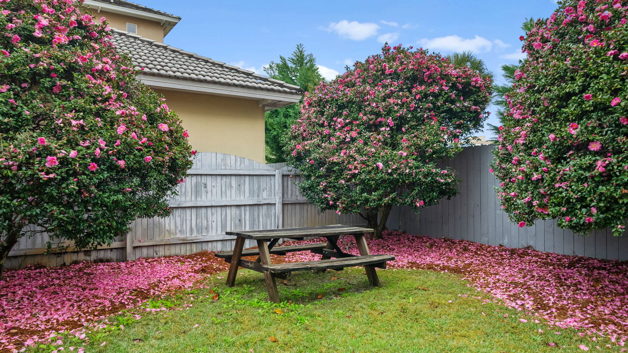 Picture Perfect - Image 32