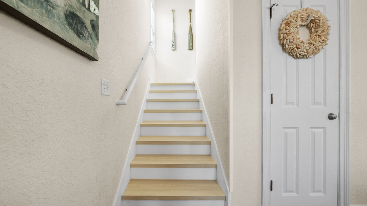 The Lucky Fish - Image 11