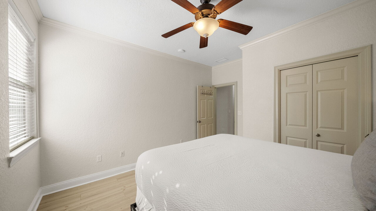 The Lucky Fish - Image 21