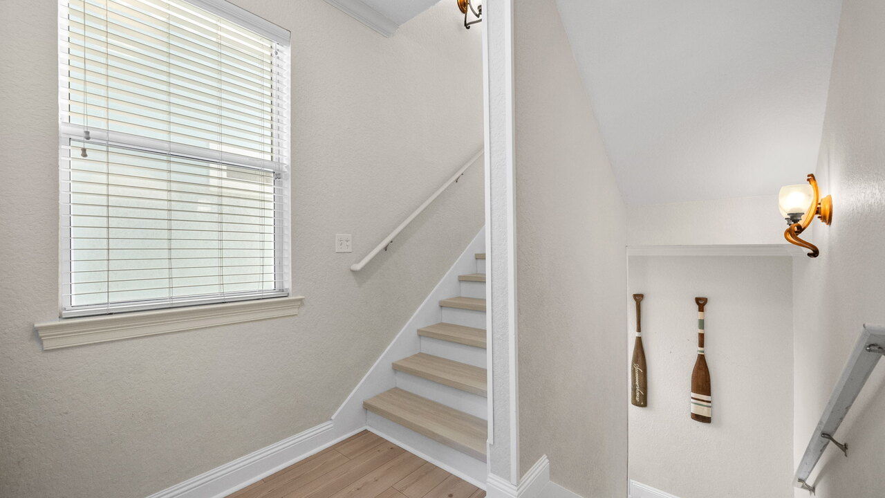 The Lucky Fish - Image 24