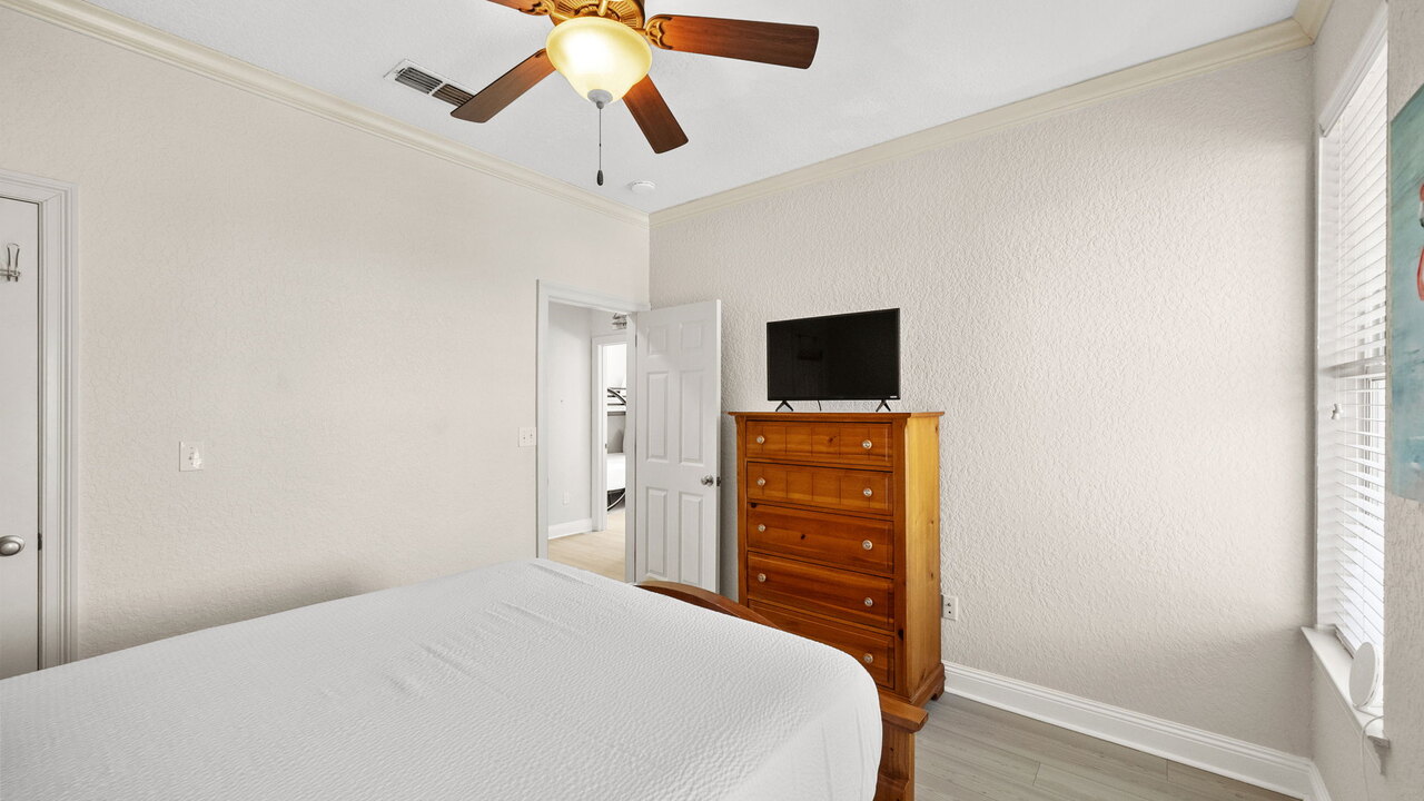 The Lucky Fish - Image 26