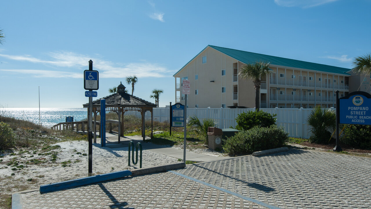 The Lucky Fish - Image 64