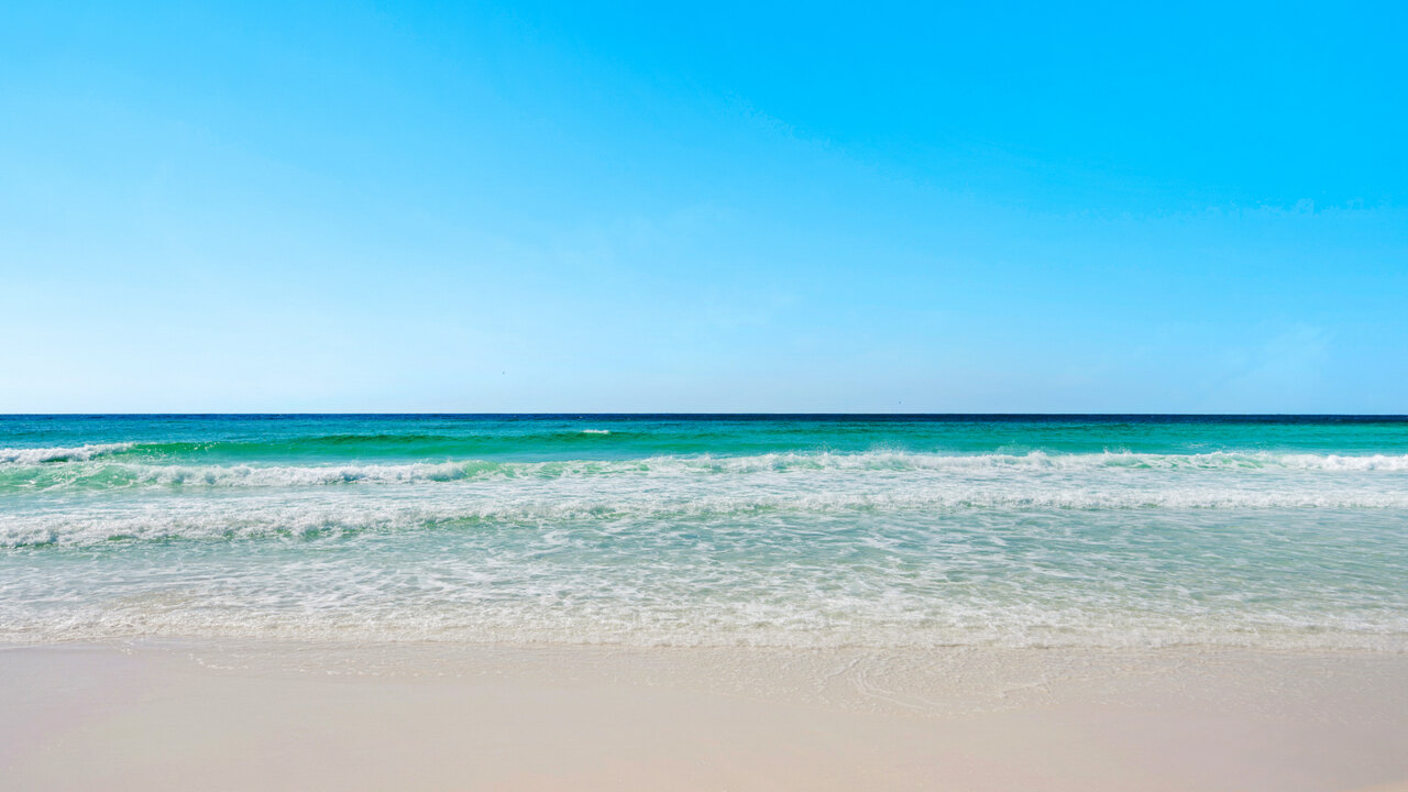 The Lucky Fish - Image 65