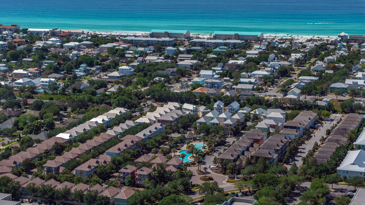 The Lucky Fish - Image 67