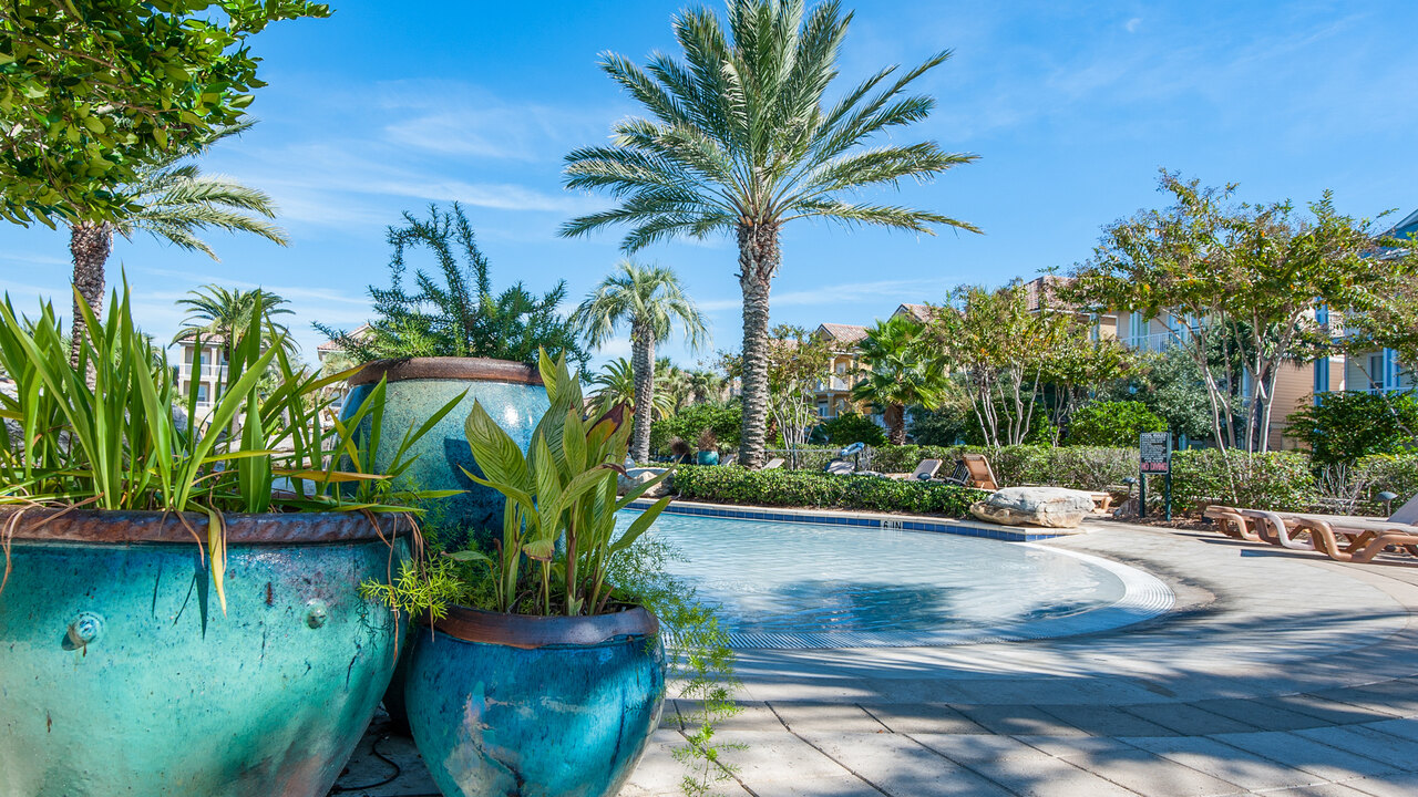 The Lucky Fish - Image 71