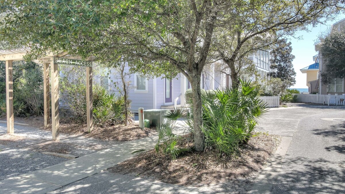 Hakuna Matata - Image 32