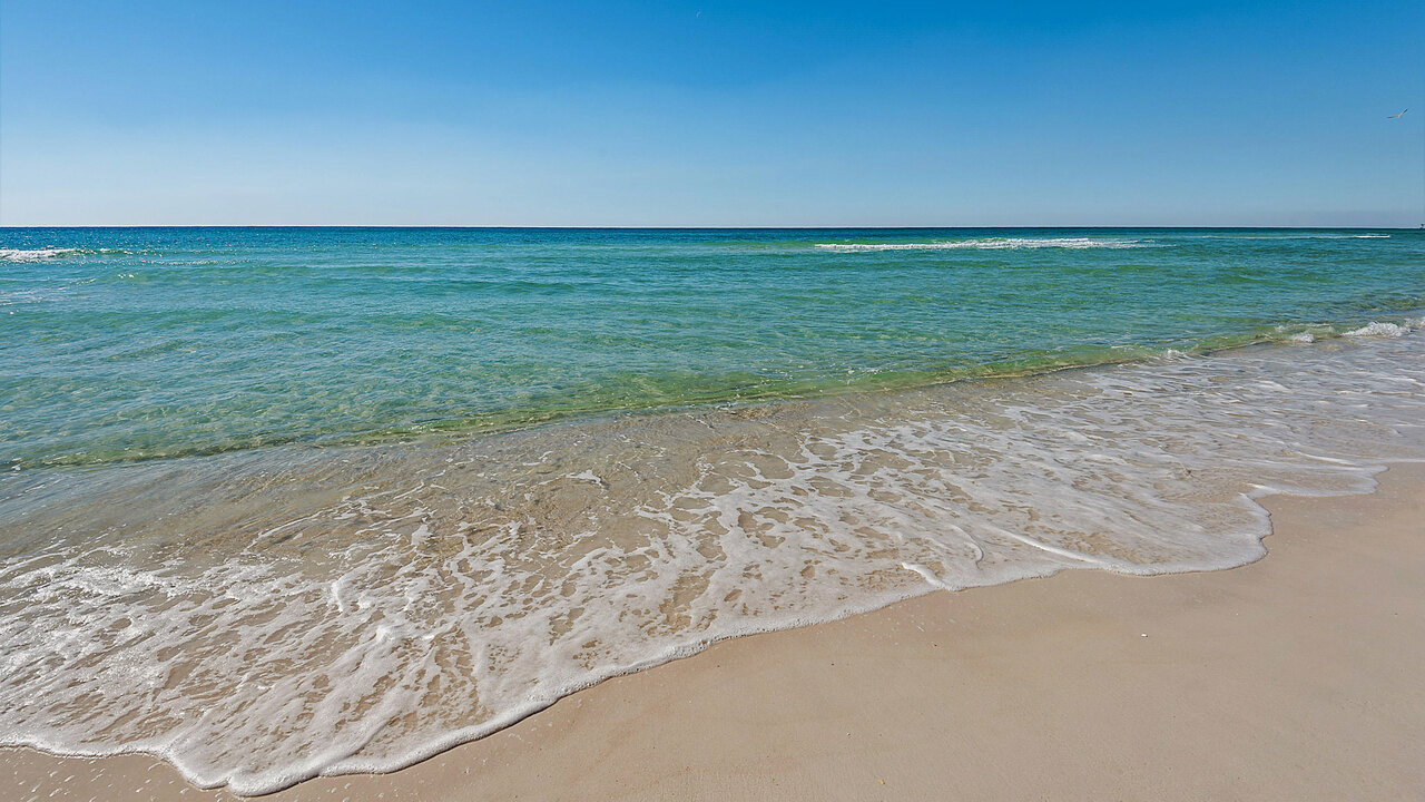 Emerald Beach 1428 - Image 59