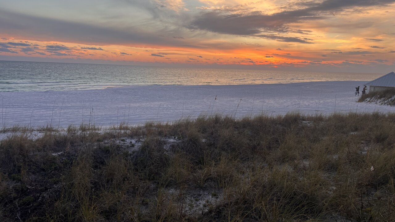 Emerald Beach 1428 - Image 60