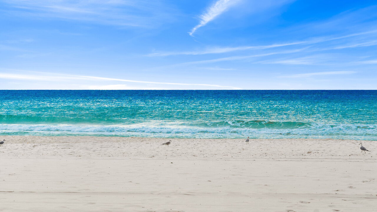 Edgewater Tower 2-808 - Image 49